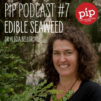 PIP podcast edible-seaweed